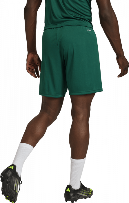 Adidas - Entrada 26 Shorts - Dark Team Green & blanc