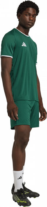 Adidas - Entrada 26 Shorts - Dark Team Green & blanc