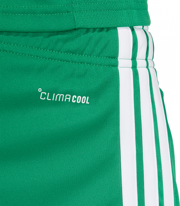 Adidas - Tiro 26 League Shorts - T Green & biały