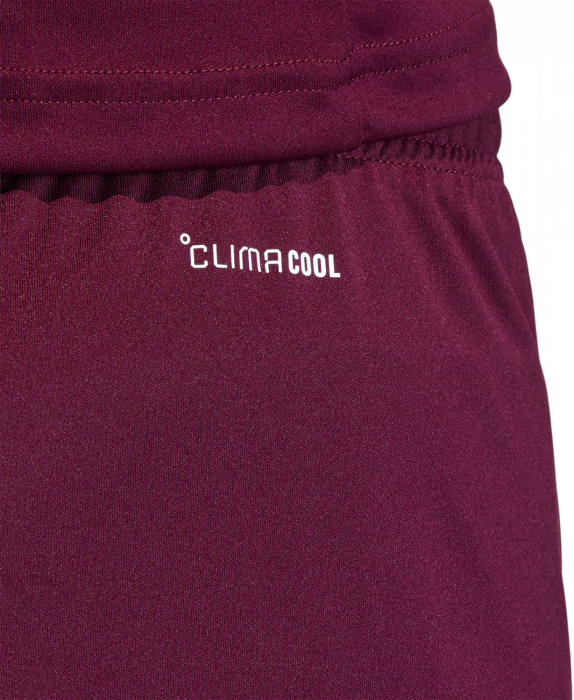 Adidas - Entrada 26 Shorts - T Maroon