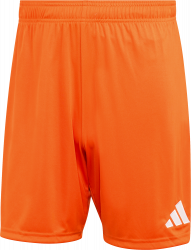 Entrada 26 Shorts