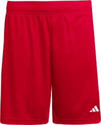 Entrada 26 Shorts