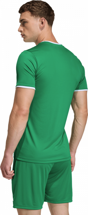 Adidas - Entrada 26 Player Jersey - T Green & blanc