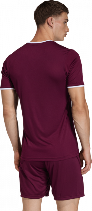 Adidas - Entrada 26 Player Jersey - T Maroon & blanc
