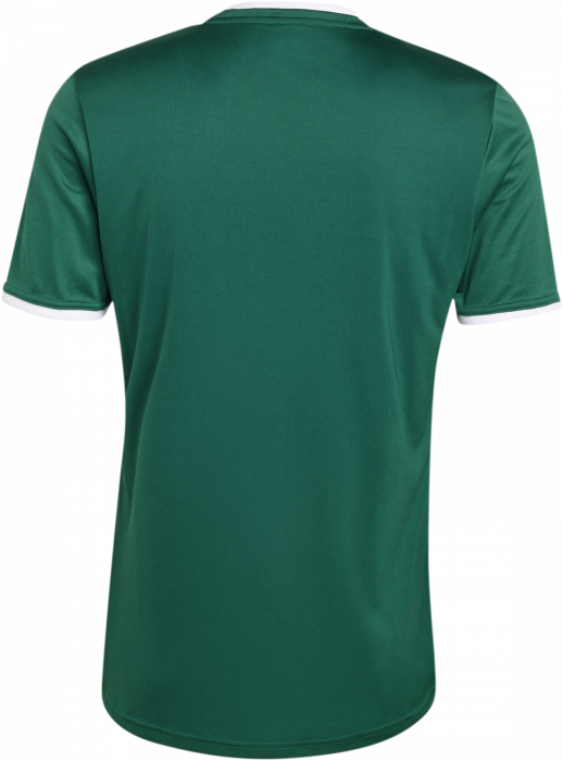 Adidas - Entrada 26 Player Jersey - T Dark Green & wit