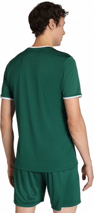 Adidas - Entrada 26 Player Jersey - T Dark Green & wit