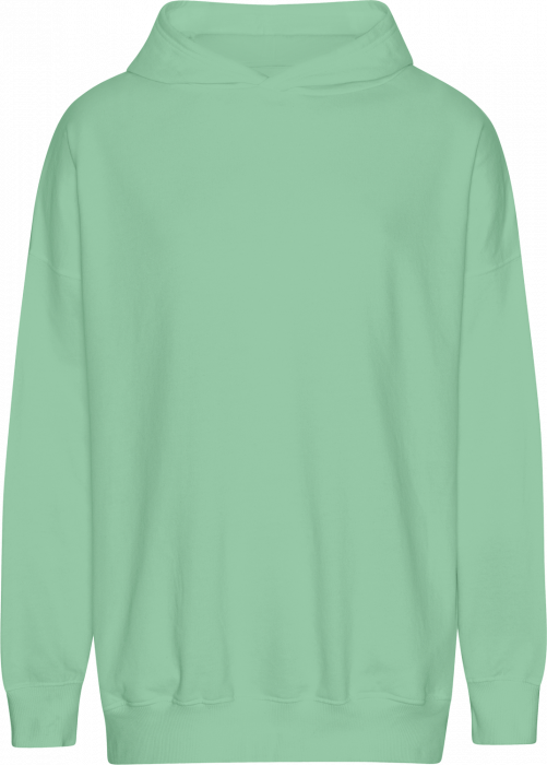 Neutral - Tiger Cotton Oversized Hoodie - Dusty Mint