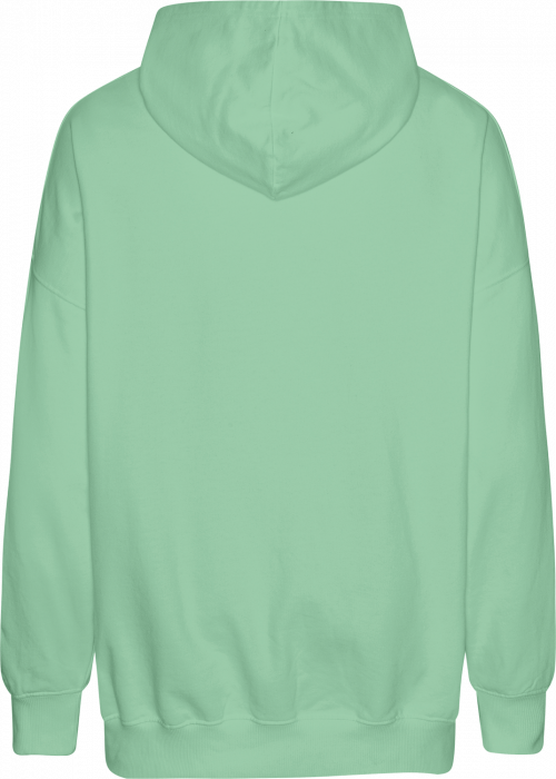 Neutral - Tiger Cotton Oversized Hoodie - Dusty Mint