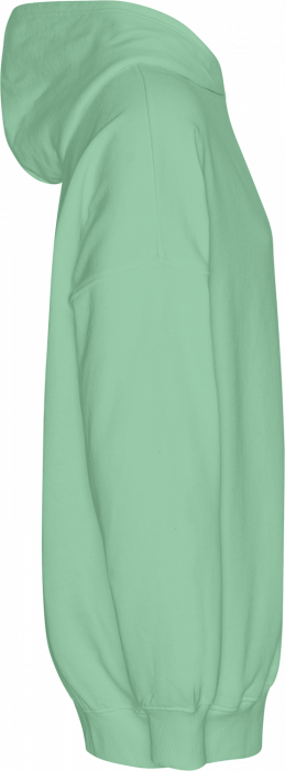 Neutral - Tiger Cotton Oversized Hoodie - Dusty Mint