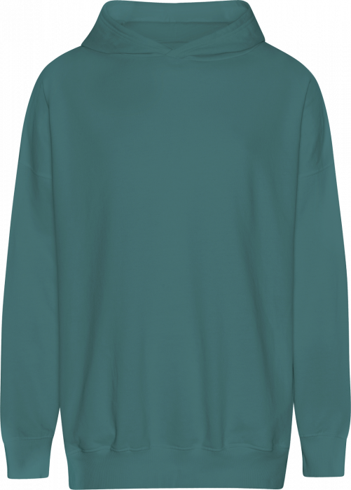 Neutral - Tiger Cotton Oversized Hoodie - Teal