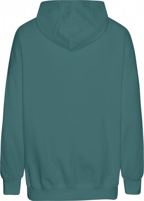 Neutral - Tiger Cotton Oversized Hoodie - Teal