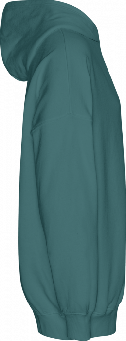 Neutral - Tiger Cotton Oversized Hoodie - Teal