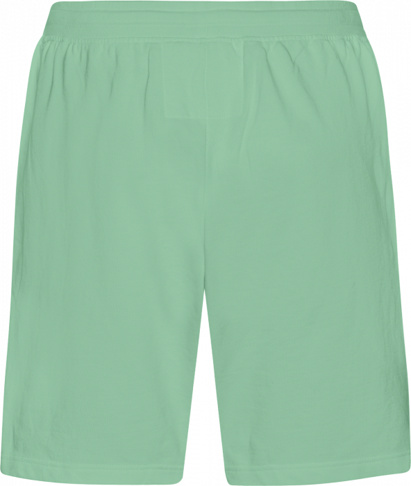 Neutral - Tiger Cotton Sweatshorts - Dusty Mint