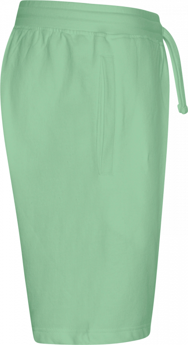 Neutral - Tiger Cotton Sweatshorts - Dusty Mint