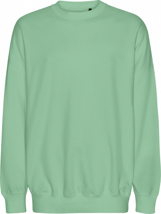 Neutral - Tiger Cotton Oversized Sweatshirt - Dusty Mint