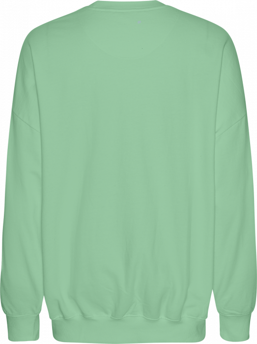 Neutral - Tiger Cotton Oversized Sweatshirt - Dusty Mint