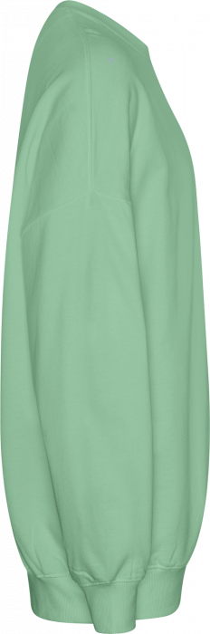 Neutral - Tiger Cotton Oversized Sweatshirt - Dusty Mint