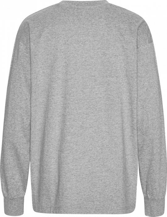 Neutral - Tiger Cotton Oversized Long Sleeve T-Shirt - Sport Grey