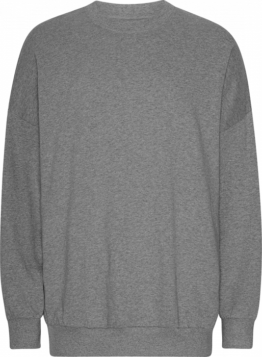 Neutral - Tiger Cotton Oversized Sweatshirt - Sport Grey