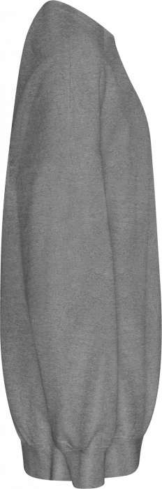 Neutral - Tiger Cotton Oversized Sweatshirt - Sport Grey