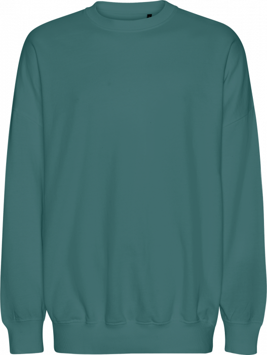 Neutral - Tiger Cotton Oversized Sweatshirt - Teal