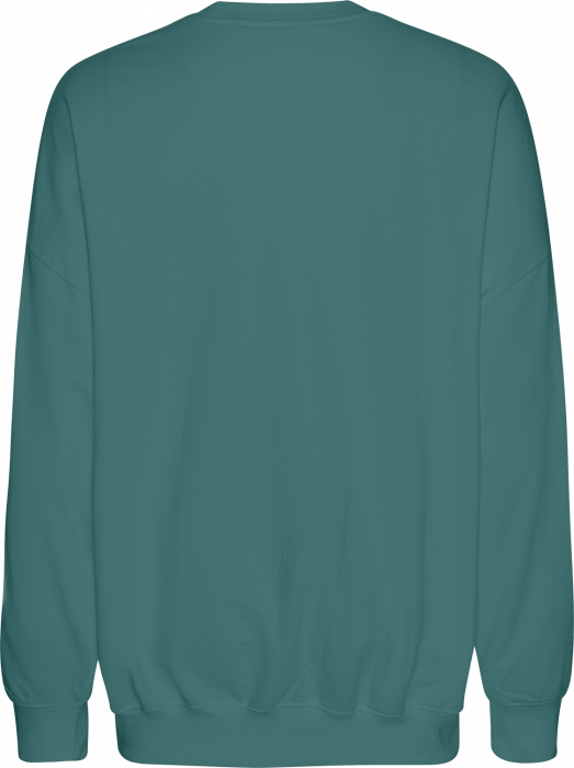 Neutral - Tiger Cotton Oversized Sweatshirt - Teal