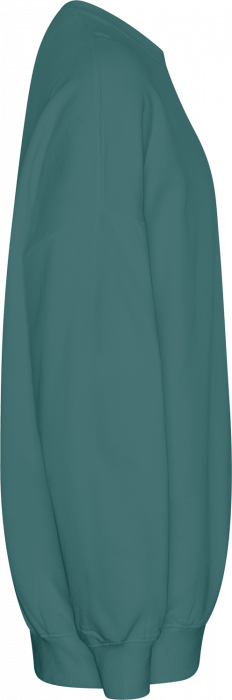 Neutral - Tiger Cotton Oversized Sweatshirt - Teal