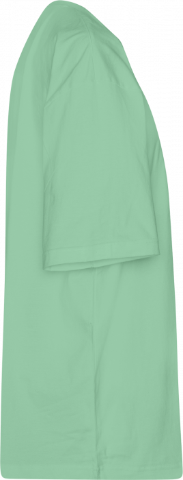 Neutral - Tiger Cotton Oversized T-Shirt - Dusty Mint