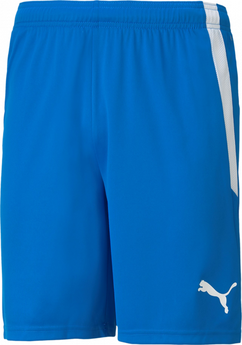 Puma - Teamliga Shorts Jr Recycled Polyester - Blauw