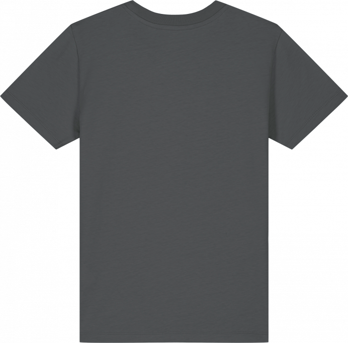 Stanley/Stella - Mini Creater 2.0 T-Shirt Kids - Anthracite