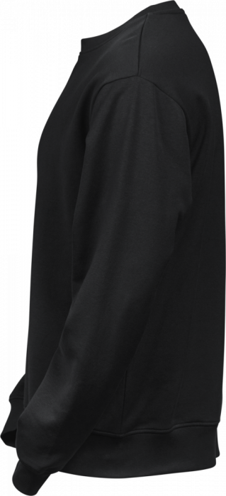 Tee Jays - Organic Power Swearshirt - negro