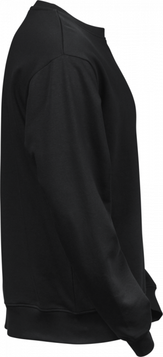 Tee Jays - Organic Power Swearshirt - negro