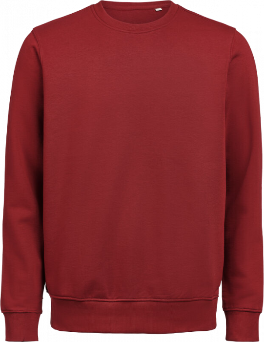Untagged Movement - Organic Cotton Sweatshirt Regular Fit - Brick